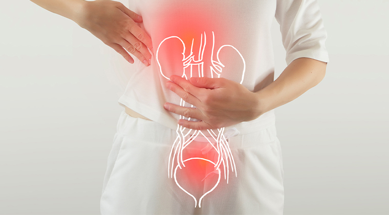 Imagen de Infecciones del tracto urinario (ITU)